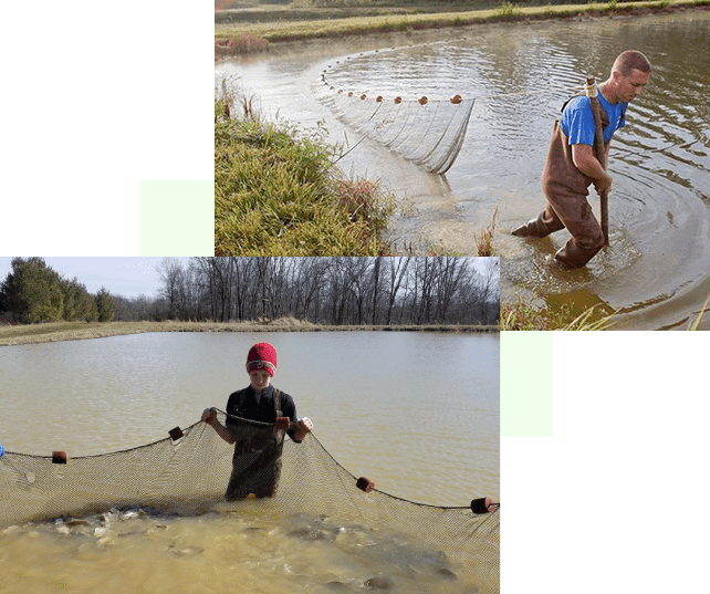 Two pictures of a man in the water and holding onto a net.